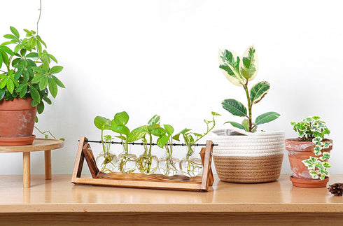 Glass Planter Bulb Vase with Retro Solid Wooden Stand and Metal Swivel Holder for Hydroponics Plants